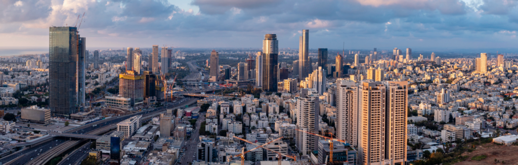 ליטגציה במקרקעין